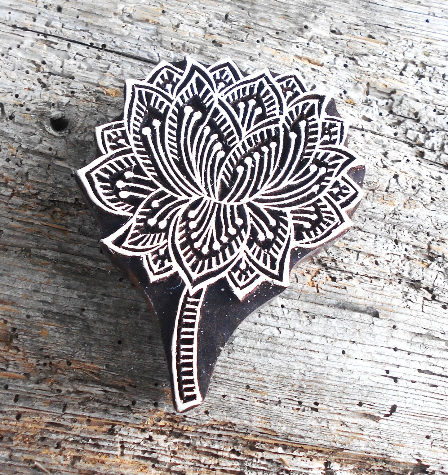 Stoffdruckstempel, Holzdruckstempel, Motivstempel, Blaudruckstempel, Botanik