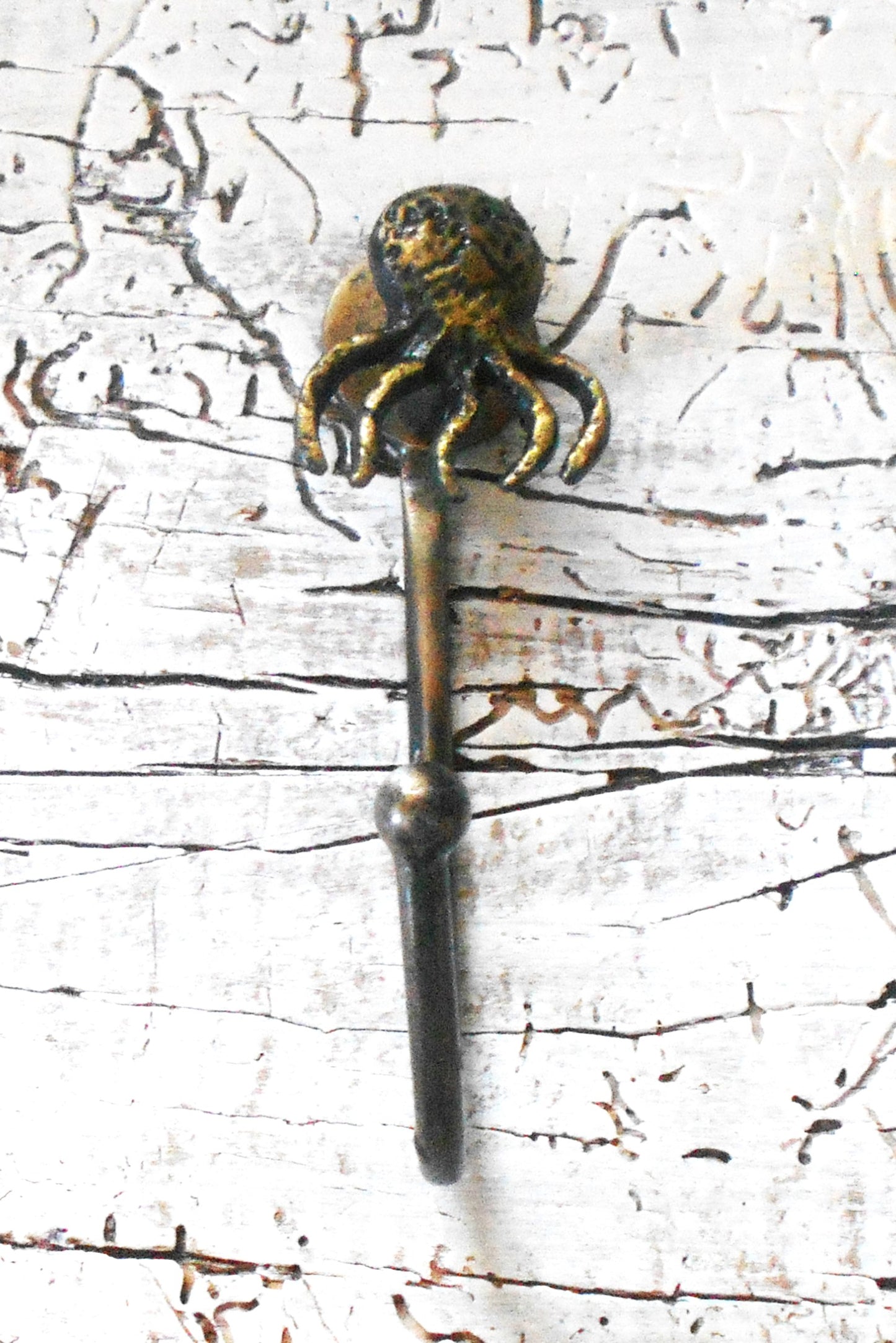 Eisenhaken, Garderobenhaken, Oktopus, maritim