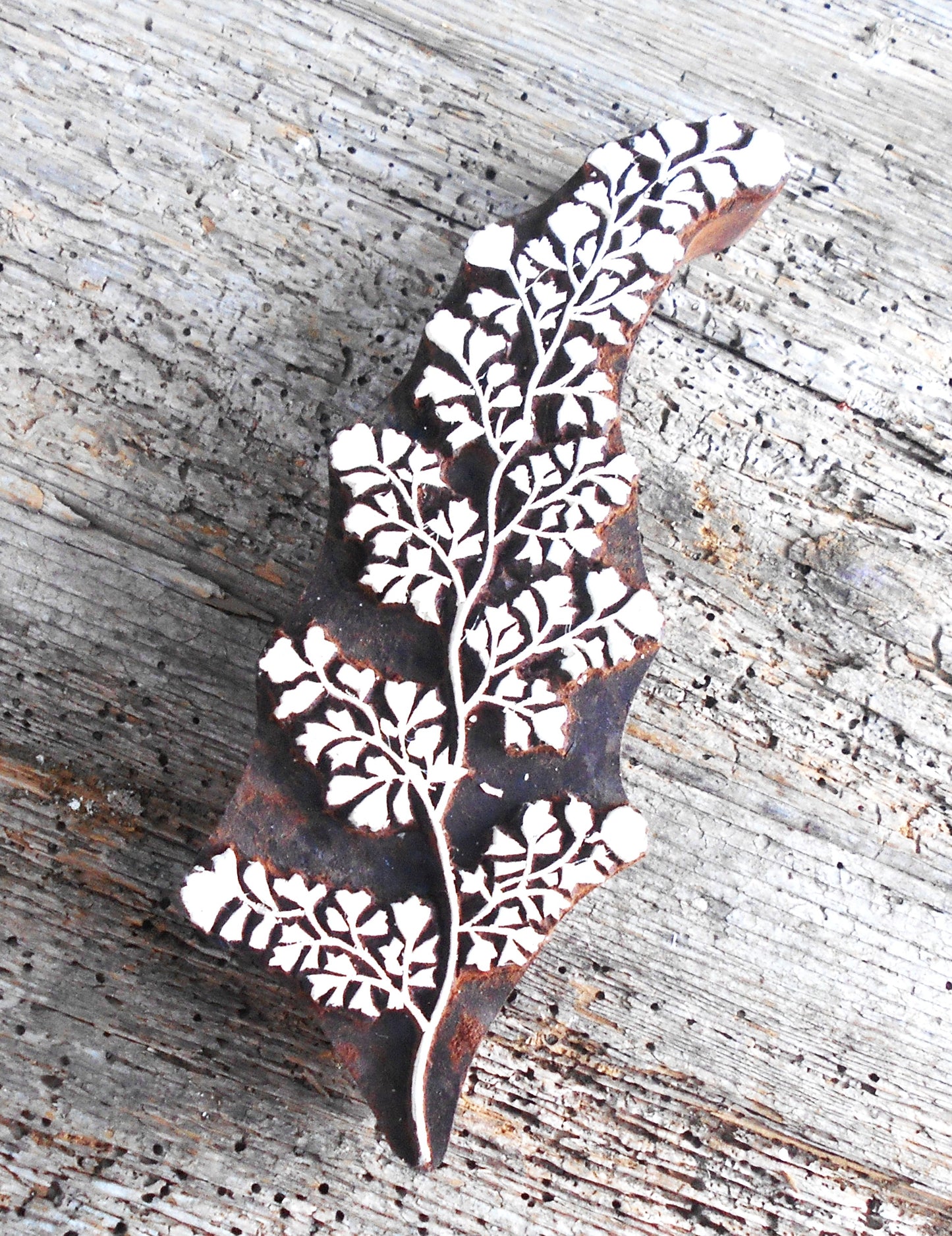 Stoffdruckstempel, Holzdruckstempel, Motivstempel, Blaudruckstempel, Botanik